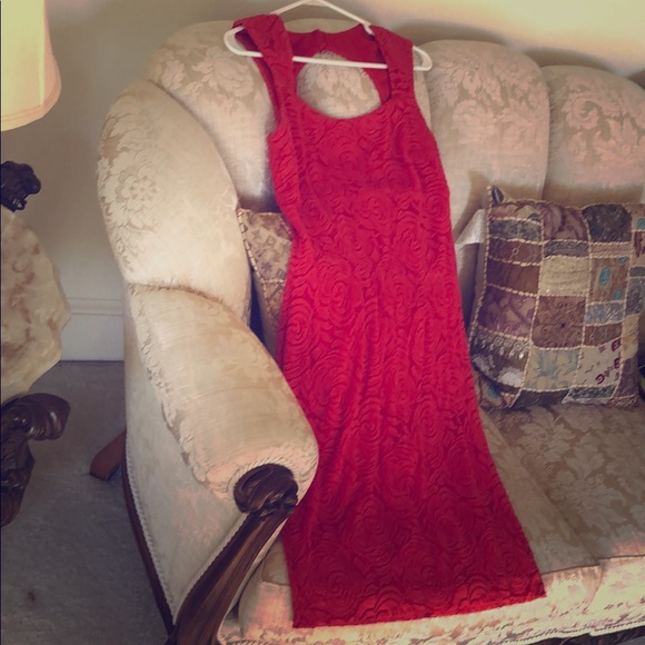 Stunning Red rose net dress - Picture 2 of 3